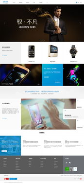 中興ZTE天機(jī)手機(jī)發(fā)布頁(yè)網(wǎng)站設(shè)計(jì)案例解析——CLH深圳高端網(wǎng)站建設(shè)與網(wǎng)頁(yè)設(shè)計(jì)實(shí)踐